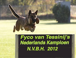 Mechelse Herder Fyco wordt na behandeling Nederlands kampioen
