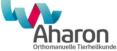 Logo Aharon OMD