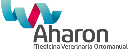 Logo Aharon OMD