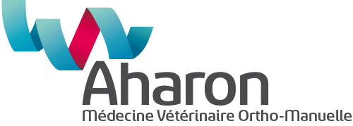 Logo Aharon OMD