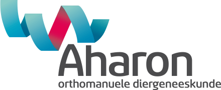 Logo Aharon OMD