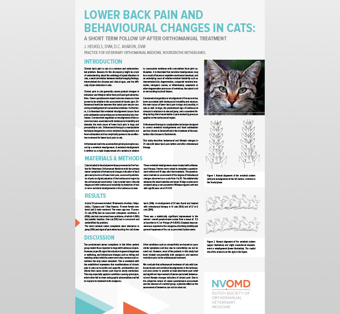 Article: Lower back pain and behavioural changes in cats