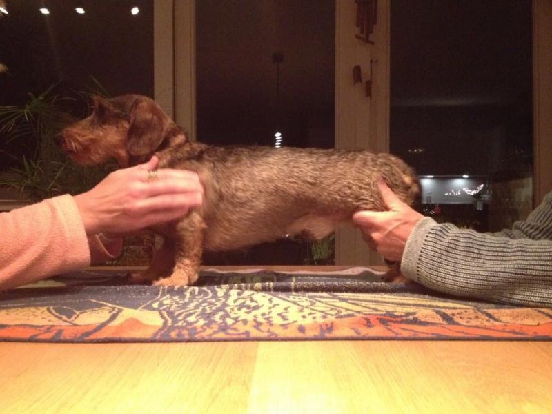 Op de tafel met de sta-oefening.